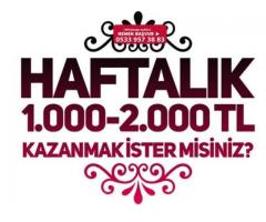 Evden Ek Gelir - Evden Para Kazanmak - BAYAN ELEMAN ARANIYOR HAFTALIK 2000TL