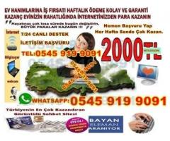 Bayan,Öğrencilere,Ev,Hanımlarına,Evlerinden,İş,İmkanı