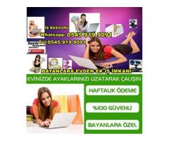 BAYANLARA EKİŞ FIRSATI