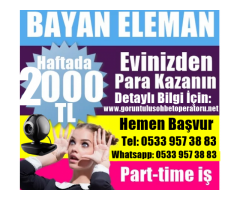 Evde Ek İş Arayan Bayanlar