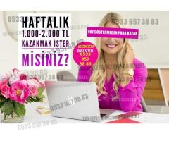 Evde Ek İş - Haftalık Odeme - 2000 tl