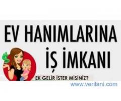 Ev Hanımlarına Ek Gelir