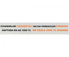 AYDA 6000 TL NET GELİR!