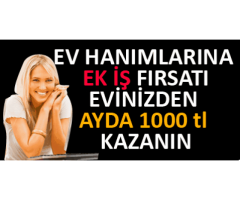 EVDEN İNTERNETTEN PARA KAZANMA İMKANI EK GELİR FIRSATI