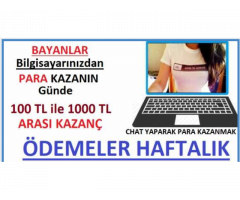 EVİNİZDE OTURARAK PARA KAZANIN