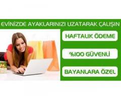 Bilgiyasar-Telefon Ve Tabletten Sohbet Operatörü Olarak Çalışma -( Parttime-Ekgelir )