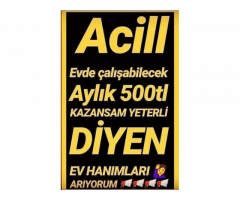 Türk ve Yabancı Model Alımı - Saatlik 34 TL