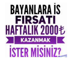 Evde Çalışarak Para Kazanmak İstiyen Bayanlar İlanımıza Gözatabilirler