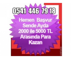 İnternetten chat yaparak para kazanma