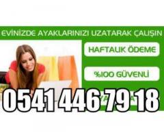 AKILLI TELEFON,TABLETTEN VE BİLGİSAYARDAN ÇALIŞARAK SAATİ 34 TL -HAFTALIK ÖDEME