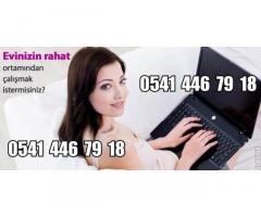 AKILLI TELEFON,TABLETTEN VE BİLGİSAYARDAN ÇALIŞARAK SAATİ 34 TL -HAFTALIK ÖDEME