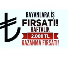 Heryerden Para Kazanabilirsiniz