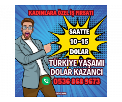 Evden Ek Gelir Sağla Sadece Telefonla Anonim Konuşarak Yüz Göstermek Zorunlu Değil Saatlik 485 Tl