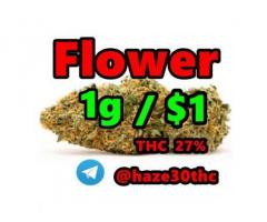 Fleurs de cannabis, Cannabisblüten, Cannabis flowers,