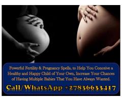 Pregnancy and Fertility Spells to Help You Conceive a Healthy and Happy Child +27836633417