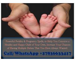 Pregnancy and Fertility Spells to Help You Conceive a Healthy and Happy Child +27836633417