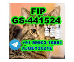 GS-441524 cat Fip Feline Infectious Peritonitis