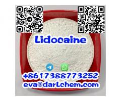 High Quality Pharmaceutical Chemical r Lidocaine Hydrochloride CAS73-78-9 Lidocaine