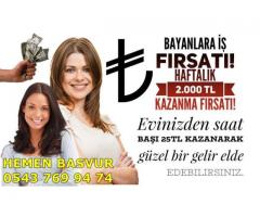 EVİMDEN PARA NASIL KAZANIRIM DİYORSANIZ BU İŞ SİZİN İÇİN!